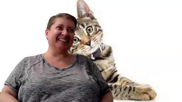 Sherry O. Cat Trivia Hosted by Sherry O.