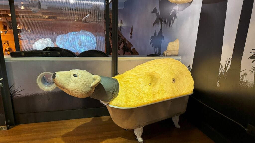 Kristina's Noah's Ark Exhibit